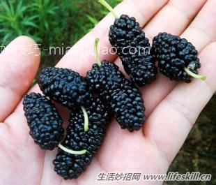 怎样洗掉衣服上的桑葚汁?