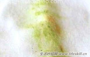 衣服上的青草渍怎么清洗掉?