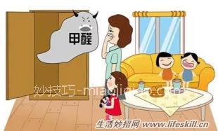 聊一聊室内除甲醛的方法及优劣