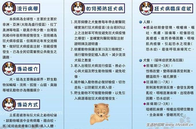 认识狂犬病,多一份认知就少点恐慌。