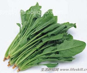 夏天吃凉菜的禁忌！