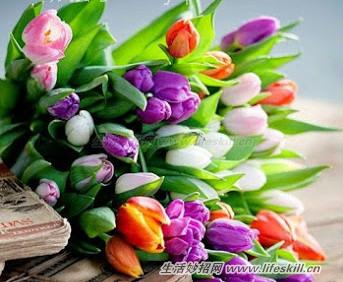 头皮不健康易白发、掉发,这四类食物可帮你!