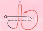 206.jpg (3611 bytes)