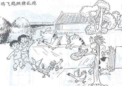 地震前会有什么宏观征兆?